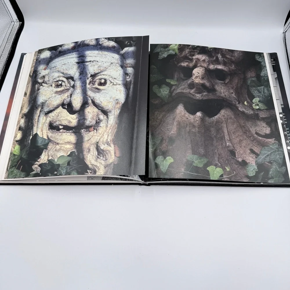 Nightmares in the Sky Stephen King f-stop Fitzgerald 1988 1st Ed Gargoyles Book